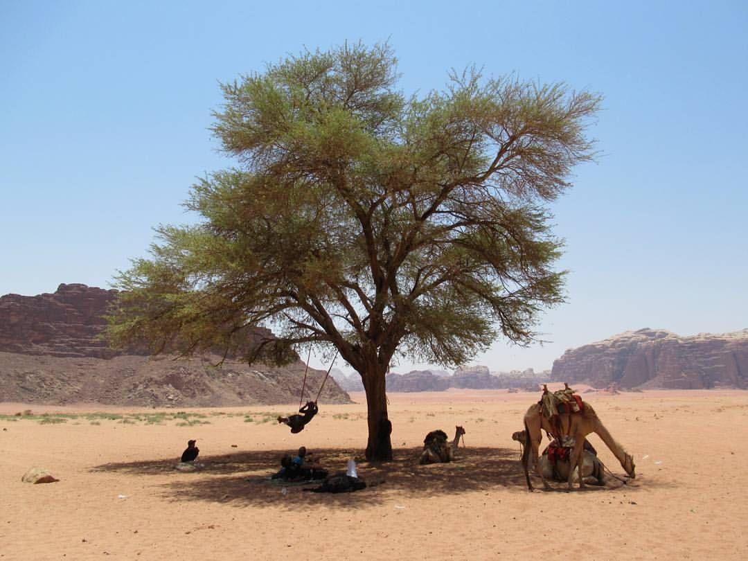 Climbers' House in Wadi Rum Esterno foto